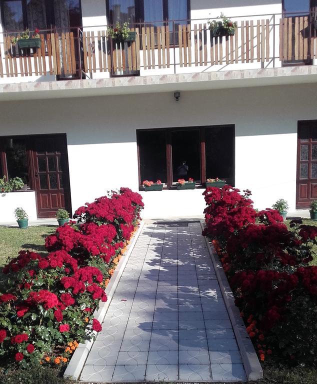 Apartmani "Vila Jelena" Аранджеловац Екстер'єр фото